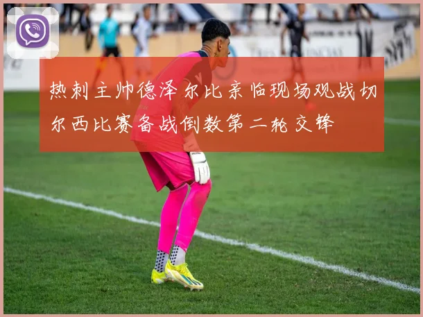 热刺主帅德泽尔比亲临现场观战切尔西比赛备战倒数第二轮交锋